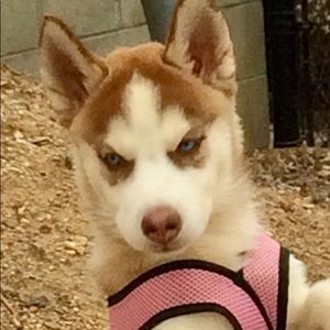 Meet your Posher, Jan